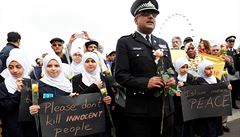 Muslimské dívky s transparenty na Westminster Bridge.: Islám znamená mír  a...