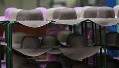 Pouze pt procent klobouk od firmy Tonak je ureno pro eský trh.