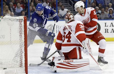 Andrej ustr (62) dává gól v zápase s Detroit Red Wings.