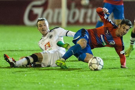 Utkání 23. kola první fotbalové ligy: FC Hradec Králové - Viktoria Plze....