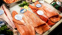 Rodinná firma Ocean48 v Brně prodává čerstvé ryby. Provozuje síť obchodů i...