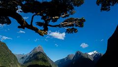 Milford Sound se povauje za povinnou zastávku vech turist. I my jsme si ve...