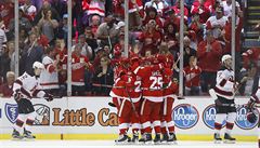 Hokejisté Detroitu Red Wings slaví jeden z gól v síti NJ Devils.