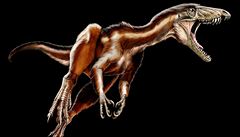 Tawa hallae, nový druh dinosaura