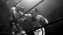 Rocky Marciano bije Joea Louise.