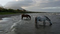 Kon slanou vodu myslím nepijí -- tohle je nejvtí jezero Stední Ameriky. V...