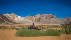 Yareta, údajn nejstarí organismus na zemi - na foto dole. (Chile)