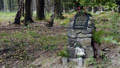 V lese stojí malý pomníček připomínající památku letců | na serveru Lidovky.cz | aktuální zprávy