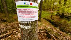 Návtvníci Kunratického lesa mohou nyní nov pi prchodu území spatit...