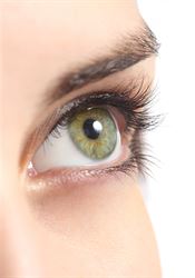 Oko (ilustra�ní foto) | na serveru Lidovky.cz | aktu�ln� zpr�vy