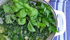 Super zdravá bylinková polévka