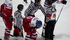 MS v hokeji 2017 - R vs. Kanada: zranný Roman ervenka.
