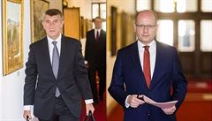 Premiér Bohuslav Sobotka a vicepremiér Andrej Babi picházejí na schzi vlády.