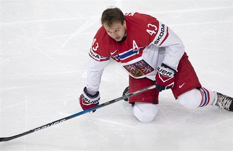 MS v hokeji 2017, esko vs. Rusko: esk reprezentant Jan Kov.