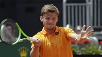 David Goffin na turnaji v m.