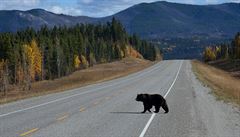 Podzim na Yukonu, Kanada.