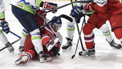 MS v hokeji 2017, esko vs. Slovinsko: Roman ervenka na led.