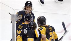 Sedm kul v Pittsburghu. Tuci deklasovali Ottawu a jsou kousek od finle