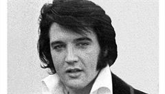 Kytaru Elvise Presleyho vydražili za 370 tisíc