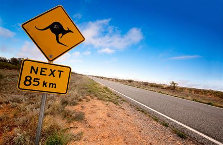 Dopravn znaka - pozor na klokany