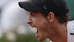 Brit Andy Murray bhem zápasu druhého kola French Open.