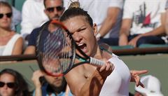 Rumunka Simona Halepová v semifinále French Open proti ece Karolín Plíkové.