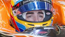Zklaman pilot McLarenu Fernando Alonso.