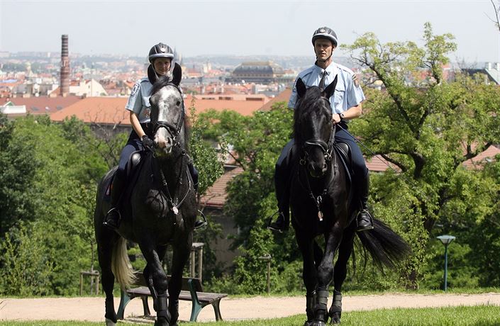 Jezdecká hlídka m�stská policie v Praze.
