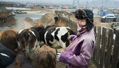 FOTOREPORT: Dv tve Mongolska aneb ivot v jurtoviti