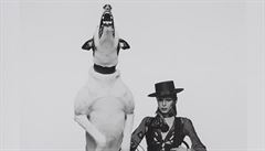 Z výstavy David Bowie Is: promofotografie k albu Diamond Dogs (1974)
