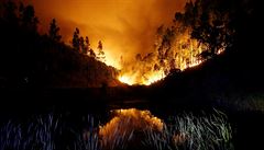 Les v plamenech, stední Portugalsko.