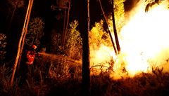 Nejméně 62 mrtvých při lesním požáru v Portugalsku. Většina uhořela v autech