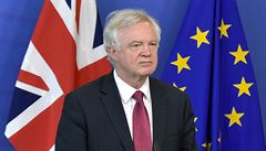 Britský vyjednava� brexitu David Davis.