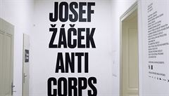 Výstava Josefa áka nazvaná Anticorps.