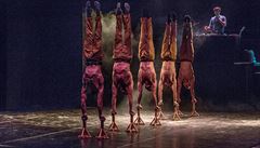 Koronavirus ni slavn cirkus. Spolenost Cirque du Soleil podala o ochranu ped viteli