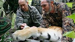 Putin 'zkrotil' tygra ze zoo, zvíře pak uhynulo