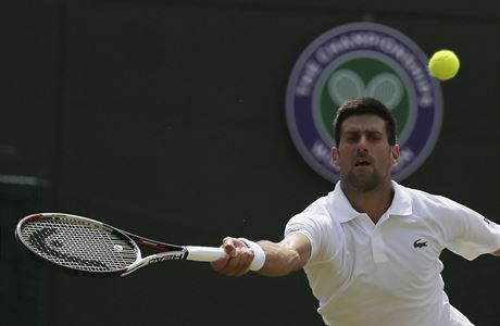 Wimbledon: Novak Djokovi v souboji s Adamem Pavlskem.