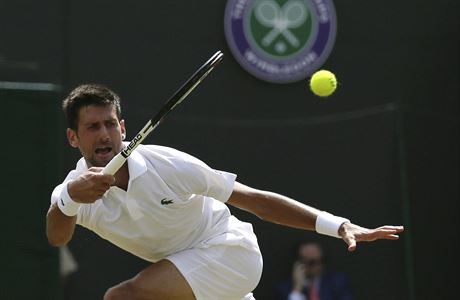 Wimbledon 2017: Novak Djokovi v souboji s Adamem Pavlskem.