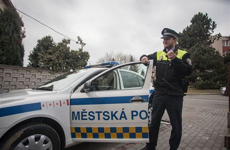 Mstská policie Brno