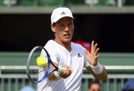 Tomá Berdych neml s Davidem Ferrerem slitování.