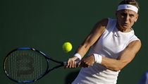 Wimbledon 2017: Lucie afov v akci.