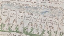 Voynichův rukopis - ženy v lázni.