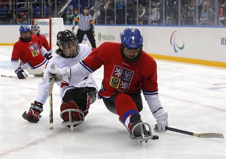 Čeští sledge hokejisté na paralympiádě v Soči