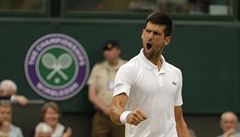 Wimbledon 2017: Novak Djokovi emotivn slaví vyhraný set nad Adrianem...