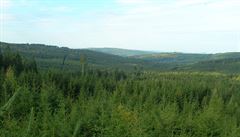 Touil jsem se toulat nitrem rozsáhlých les (zde údolí Reservy).
