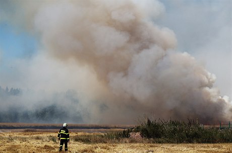 Odhadovaná koda je 300 tisíc korun