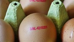 Ceny vajec v letcch jsou na osmiletm minimu. V prmru stoj kus 2,22 K