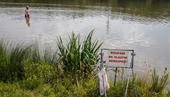 V přírodních koupalištích Džbán a Hostivař je zakalená voda, nepředstavuje ale žádná zdravotní rizika
