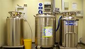 Vědci často používají kapalný dusík pro skladování biologických vzorků. Aby se...