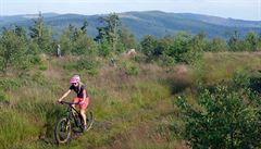 Na umavském piáku se lanovka toí i v lét a turisty i bikery vyváí na...